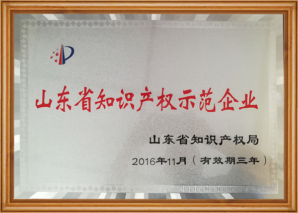山東省知識產(chǎn)權(quán)示范企業(yè)(圖1)